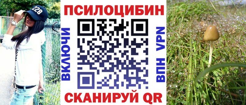 Псилоцибиновые грибы GOLDEN TEACHER  Симферополь 